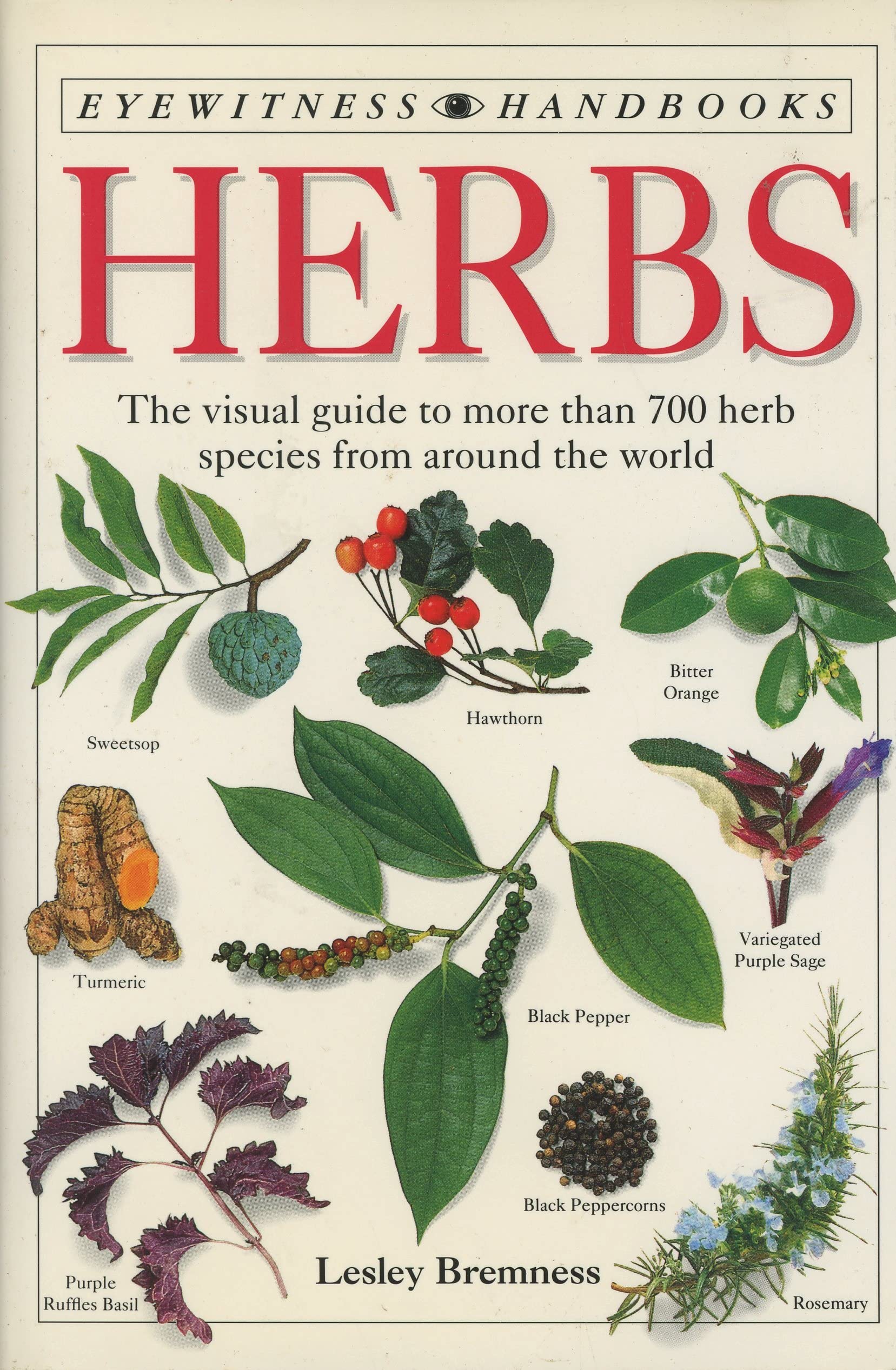 Herbs Eyewitness Handbook